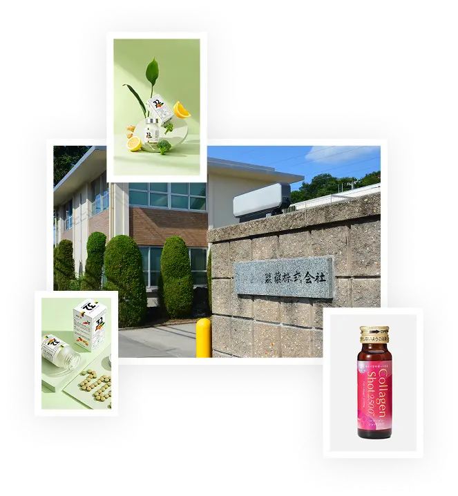 our factory and products
